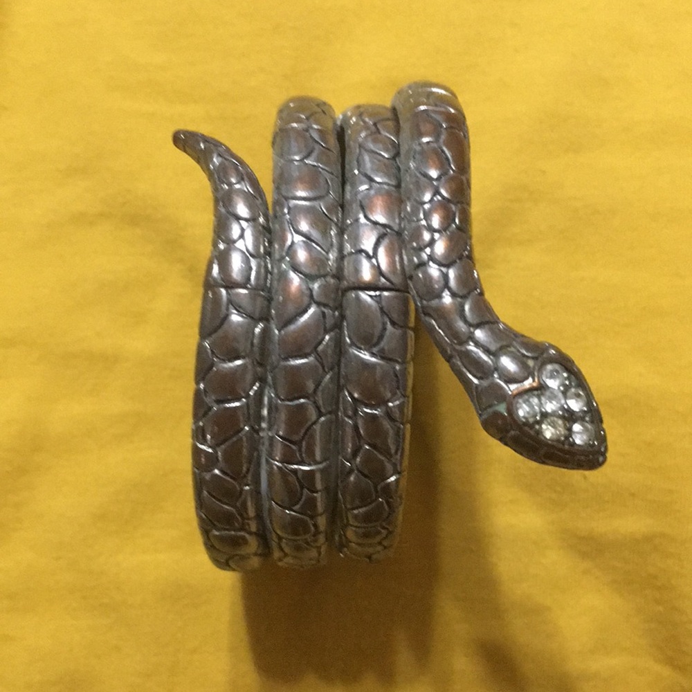 Wrap-around Snake Bracelet